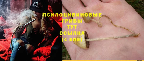 стафф Балабаново