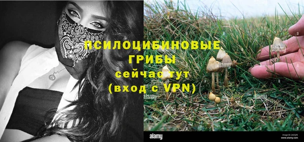 mdpv Балахна