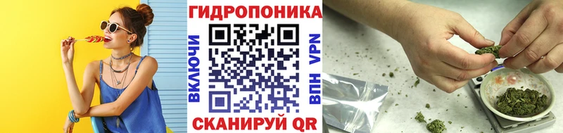 Канабис конопля  Болгар 